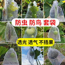 Fruit Protection Bagging Kit – Pest & Bird Fruit Bags