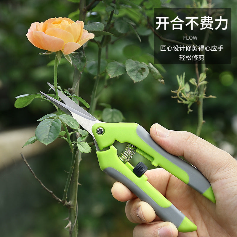 b1b25436-2427-421c-b370-187a788ec602